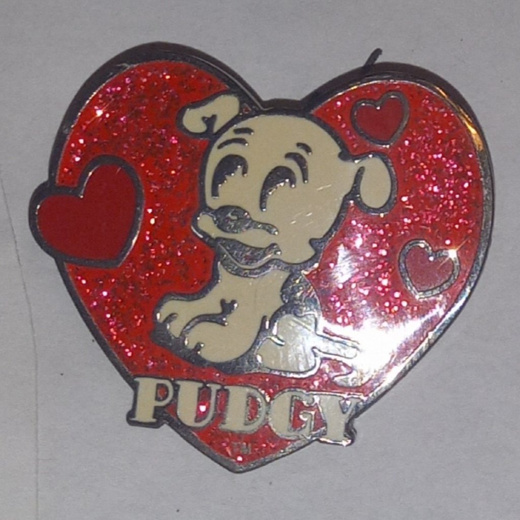 Universal Pin